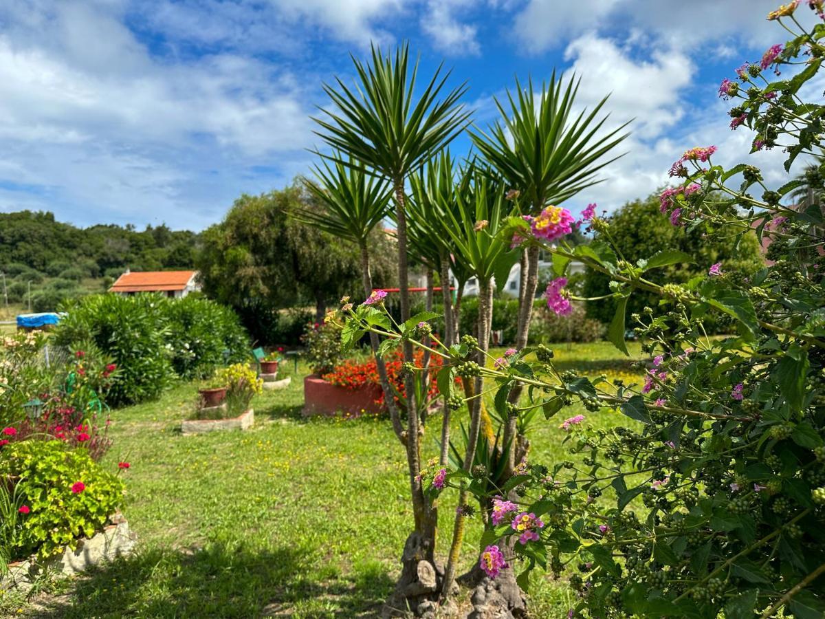 Irene Appartement Arillas (Corfu)
